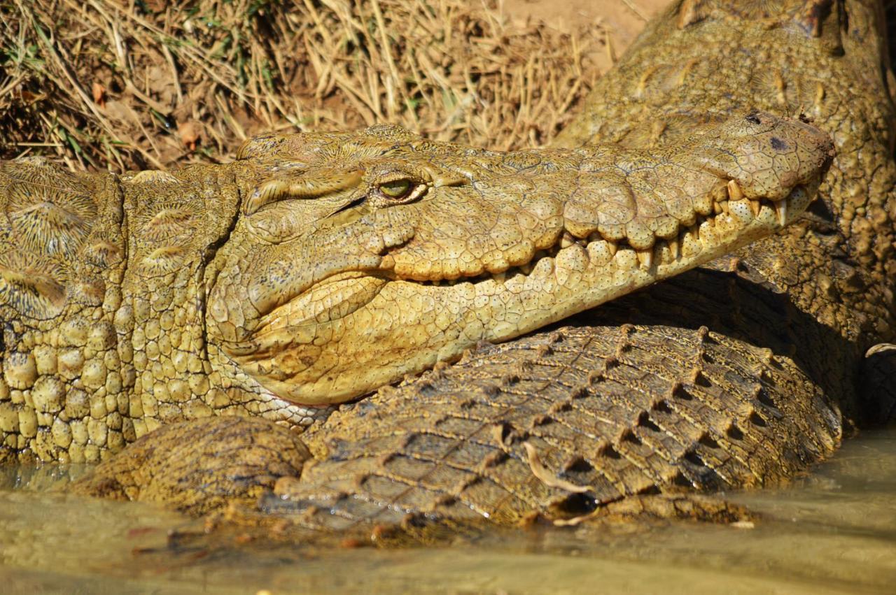 Crocodile Pools River Safaris Gaborone Exterior foto